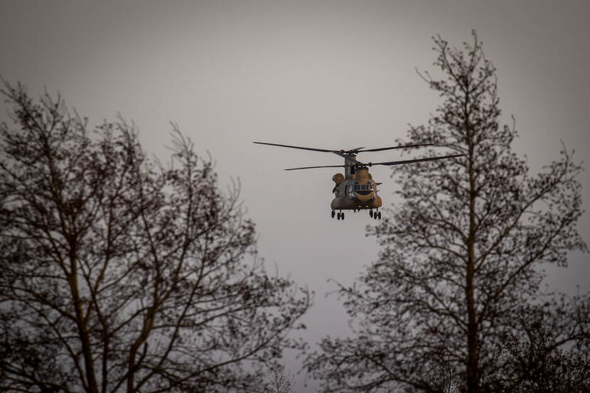 Een Chinook-transporthelikopter komt aangevlogen tussen 2 bomen.