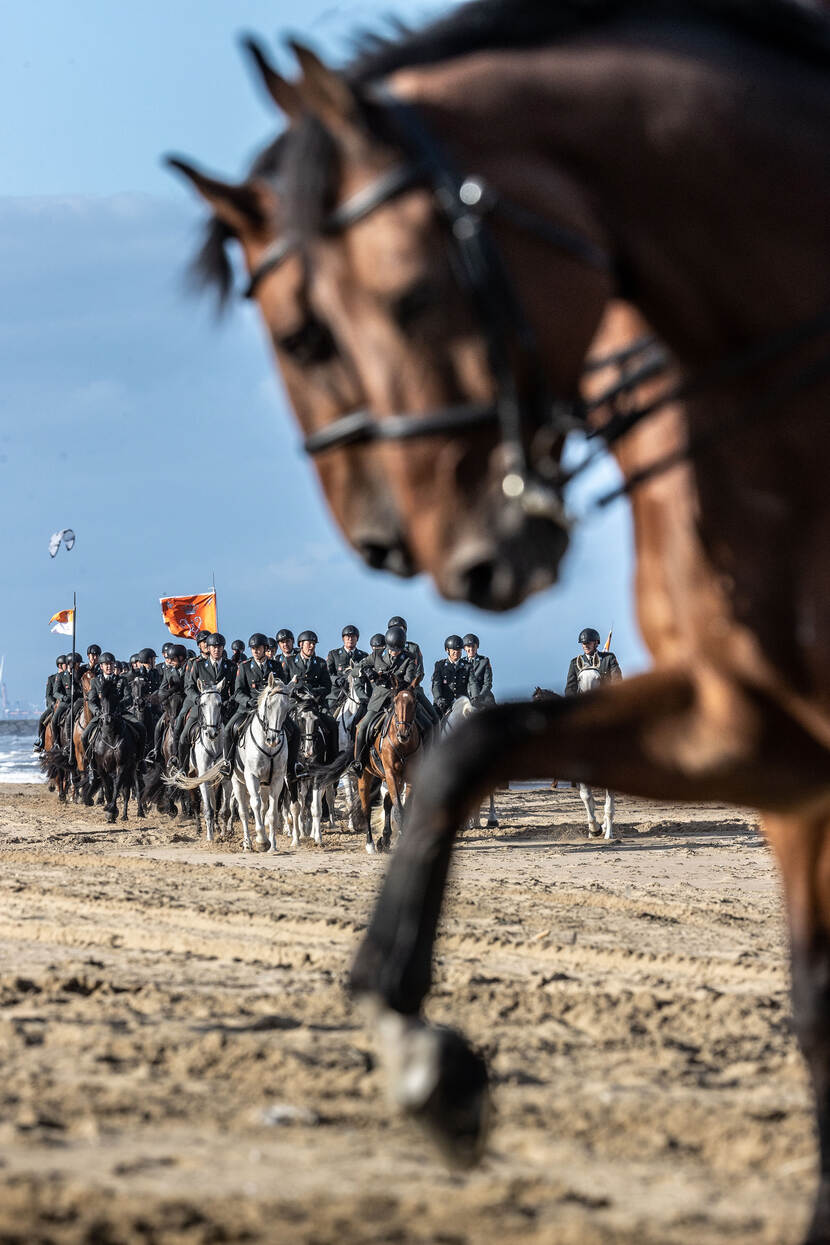 Militairen oefenen op paarden voor Prinsjesdag. 2 paarden op voorgrond.