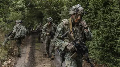 Een groep militairen komt uit het bos gelopen.