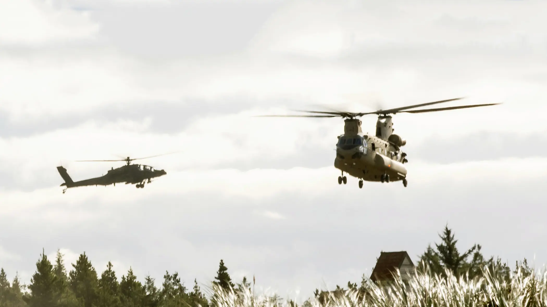Twee Apaches vliegen in formatie, afgetekend als silhouetten tegen een bewolkte lucht; op de voorgrond hoog gras.