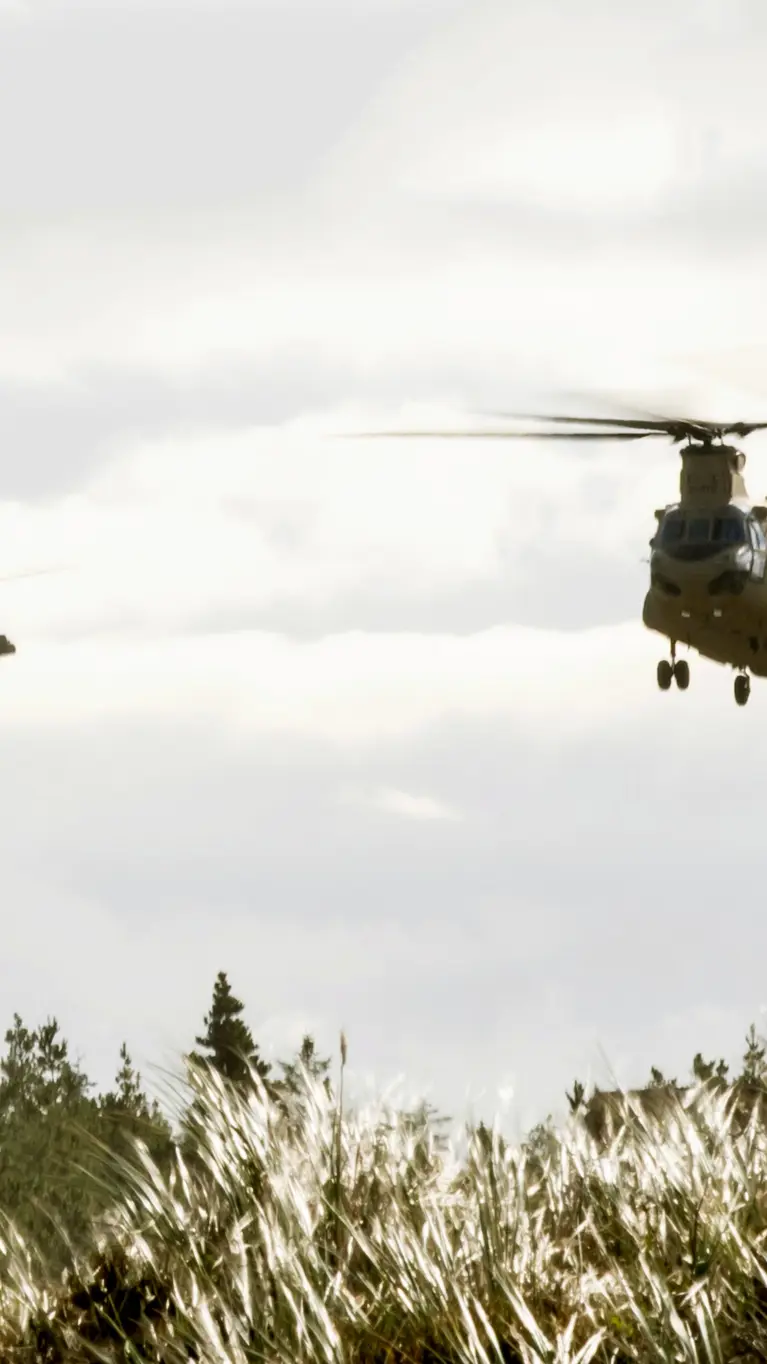 Twee Apaches vliegen in formatie, afgetekend als silhouetten tegen een bewolkte lucht; op de voorgrond hoog gras.