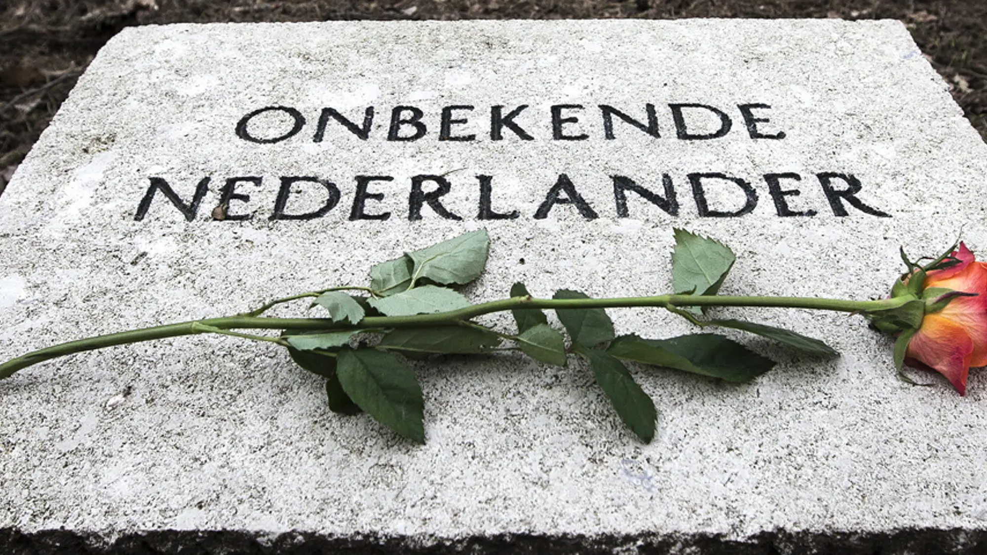 Een rode roos ligt op een grafsteen met de tekst 'Onbekende Nederlander'.