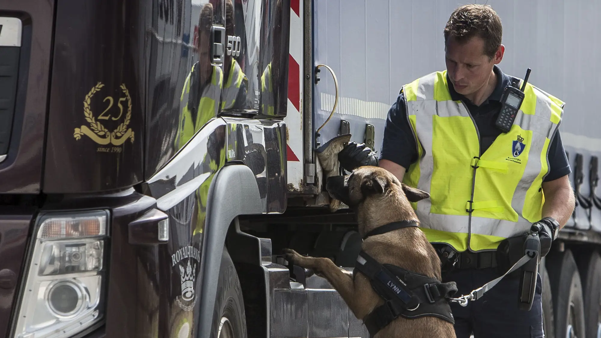 Douanemedewerker laat speurhond langs vrachtwagen lopen tijdens controle.