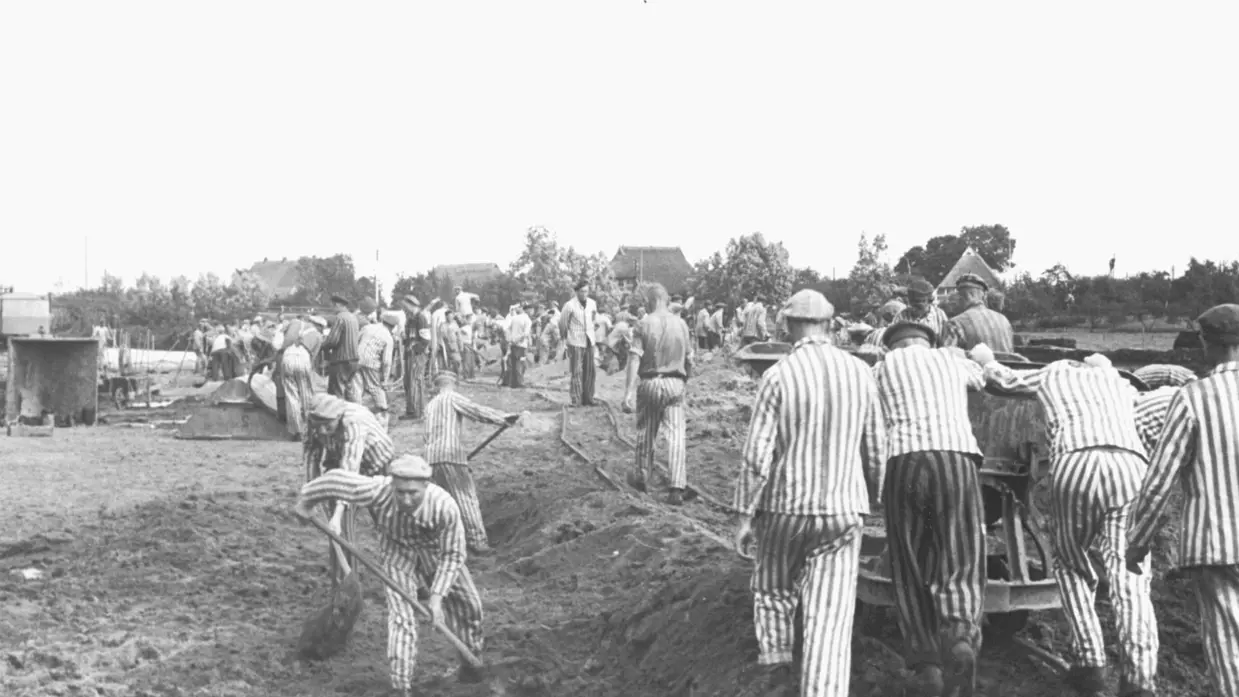 Een groep mannen in gestreepte uniformen met petten graaft met schoppen en pikhouwelen in een groot veld; bomen in verte, zware, sombere sfeer. 