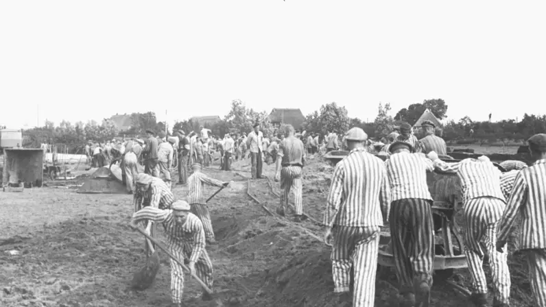 Een groep mannen in gestreepte uniformen met petten graaft met schoppen en pikhouwelen in een groot veld; bomen in verte, zware, sombere sfeer. 