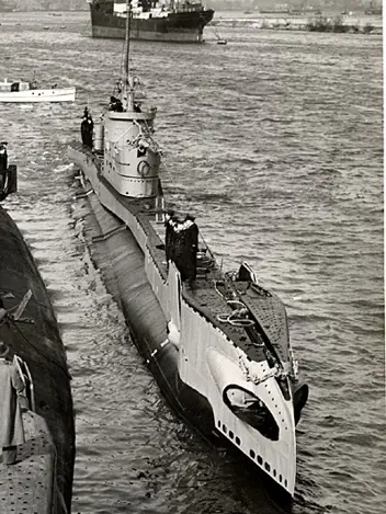 Onderzeeboot Dolfijn