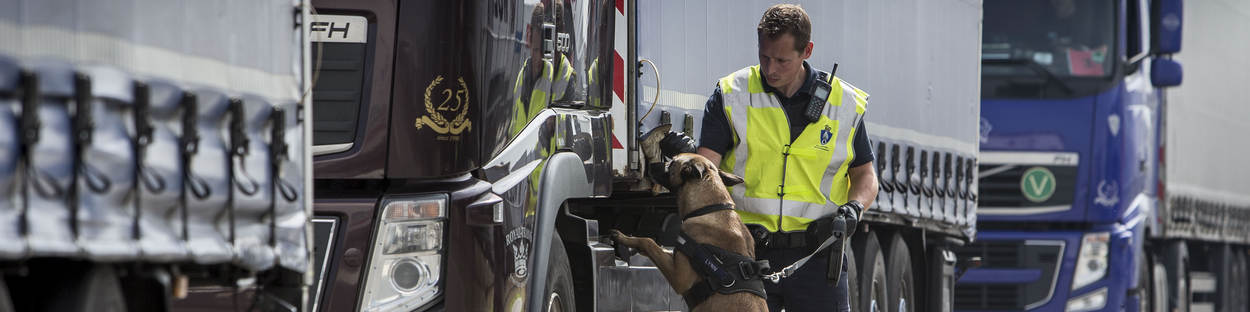 Migratiecontrolehond en geleider controleren een vrachtwagen.
