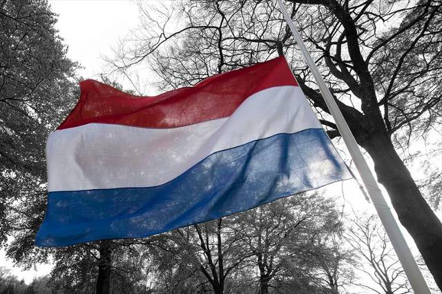Nederlandse vlag halfstok tegen grijze achtergrond met bomen.