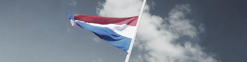 Nederlandse vlag halfstok tegen grijze wolkenlucht.