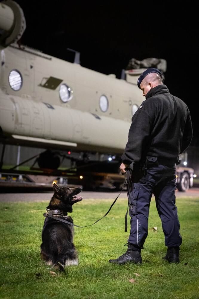 Een militair met een hond bewaakt een nieuwe Chinook op een trailer na aankomst in Nederland.