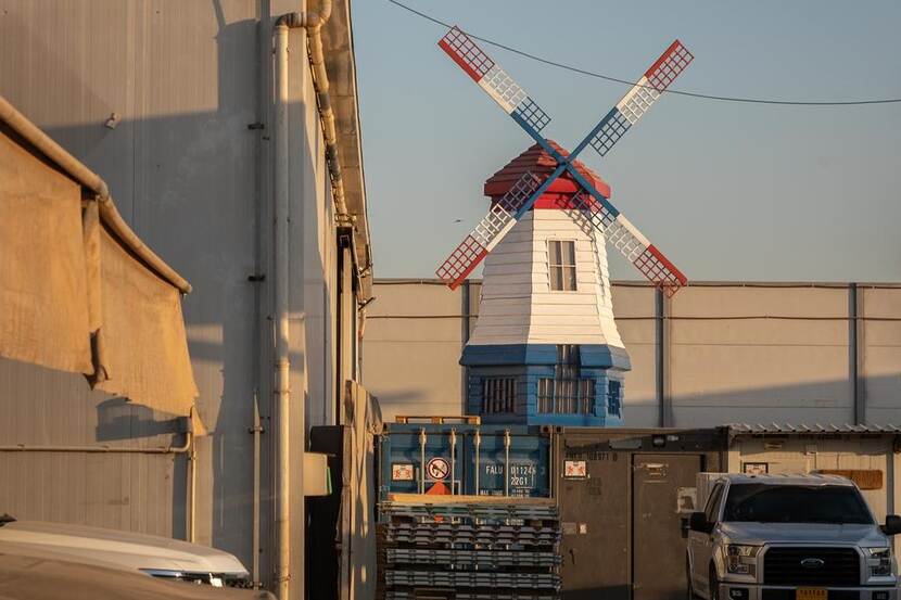 Molen in kleur Nederlandse vlag op het vliegveld van Erbil.