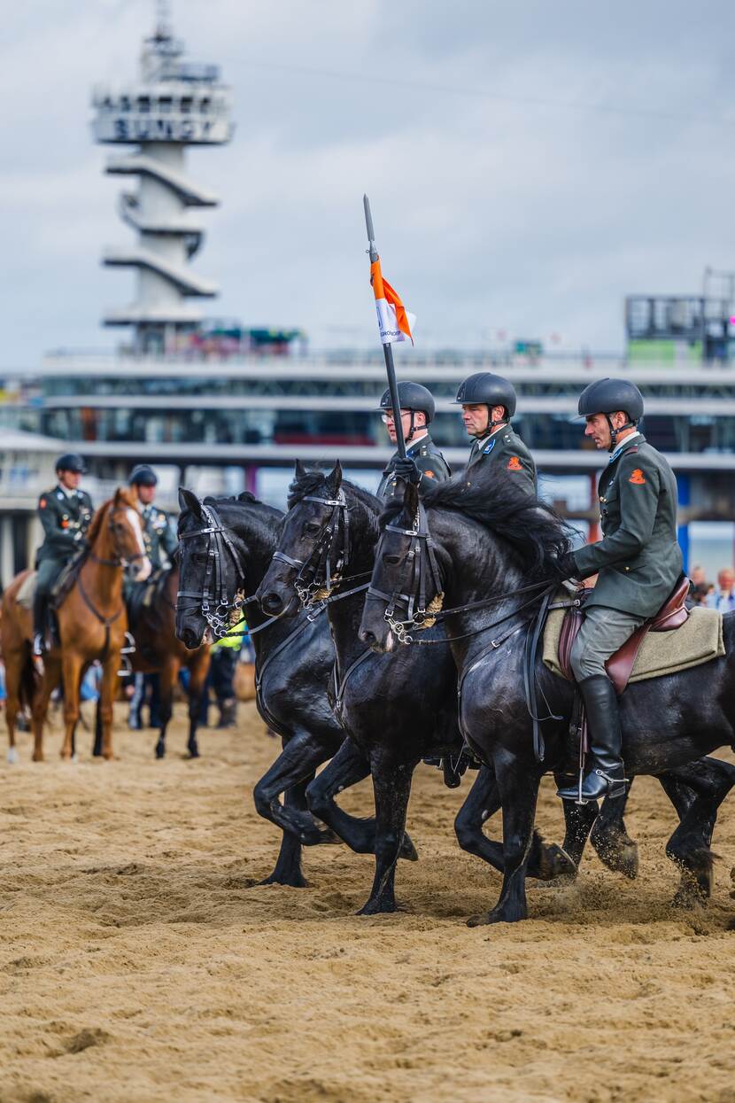 De paarden op het strand.