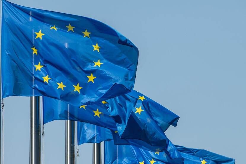 Wapperende vlagen met het logo van de EU.