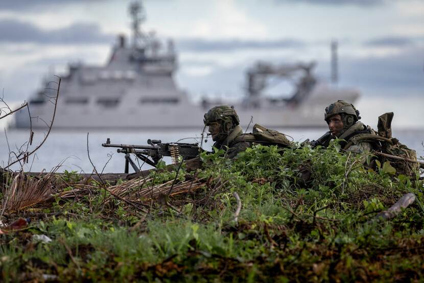 Mariniers in de struiken.
