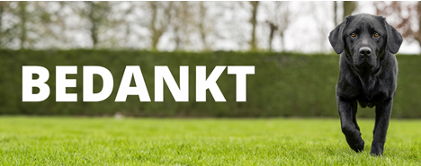 Hond op groen veld kijkt in camera. Daarnaast staat het woord Bedankt.