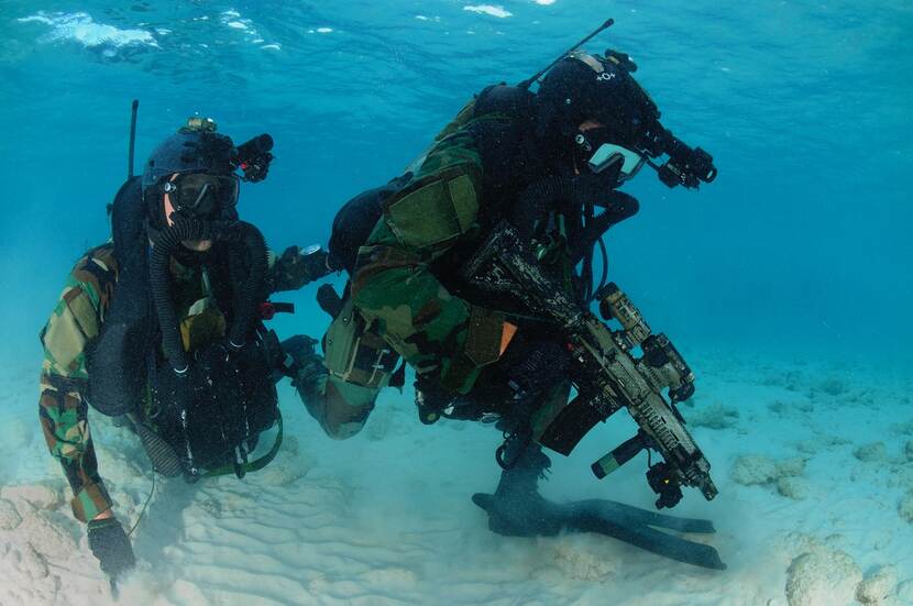 2 kikvorsmannen met bewapening onder water.