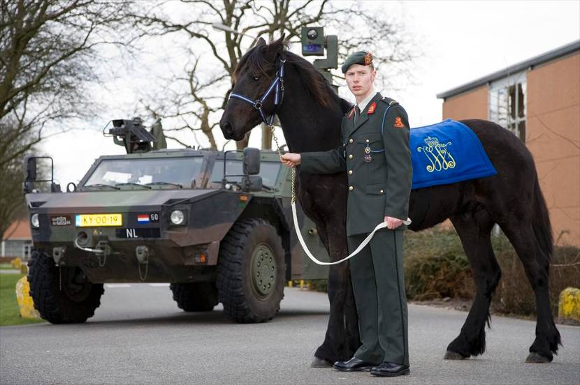 Een militair staat naast de mascotte van het Regiment Infanterie Johan Willem Friso, een paard.