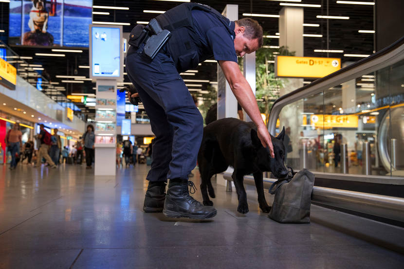 Een explosievenspeurhond controleert een tas die onbeheerd staat op Schiphol Airport.