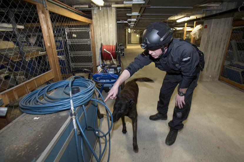 Speurhond en begeleider in een garagebox.