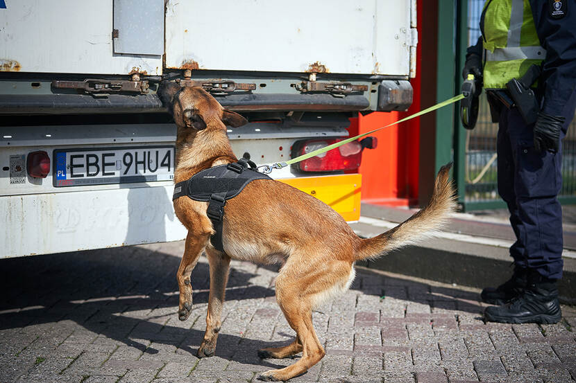 Een marechaussee voert controle uit met een hond bij een vrachtwagen.
