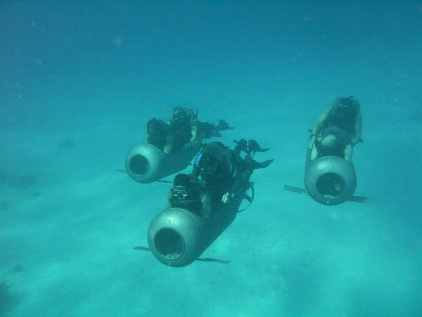 Kikvorsmannen onder water.
