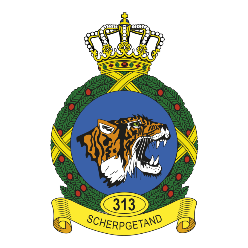 Afbeelding van het embleem 313 Squadron.
