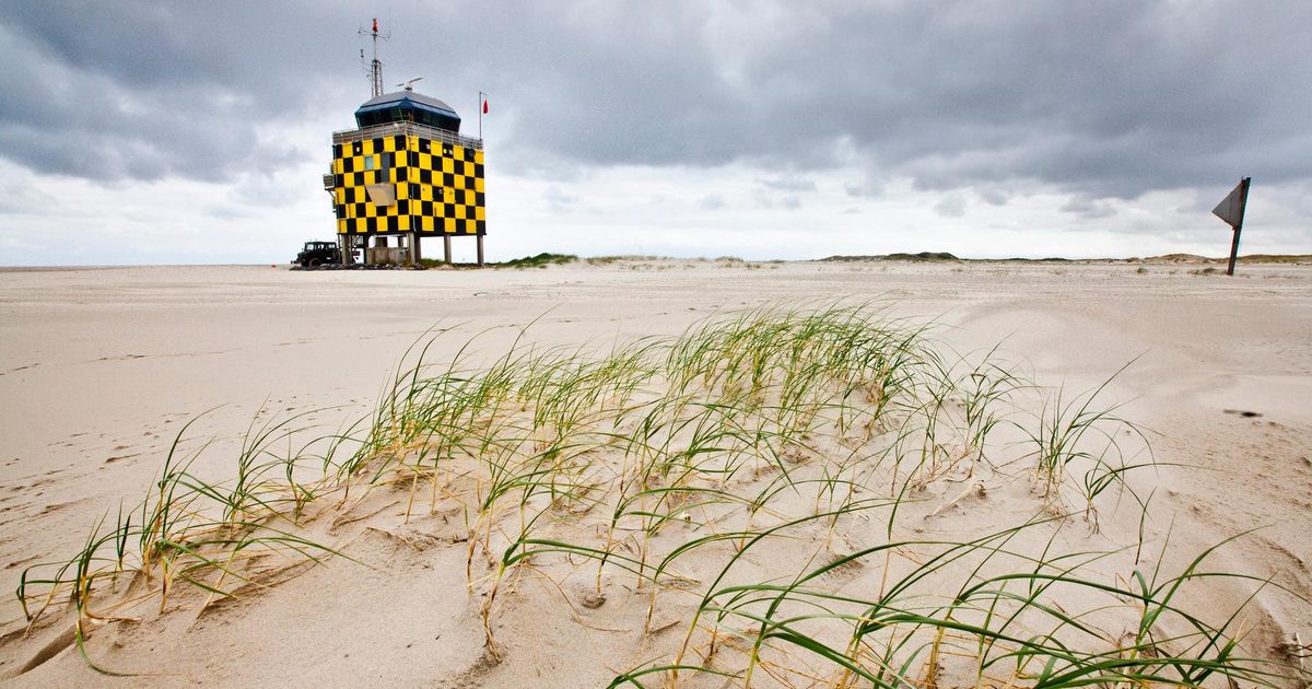 Defensie en Waddenvereniging laten effect militaire activiteiten op dieren onderzoeken